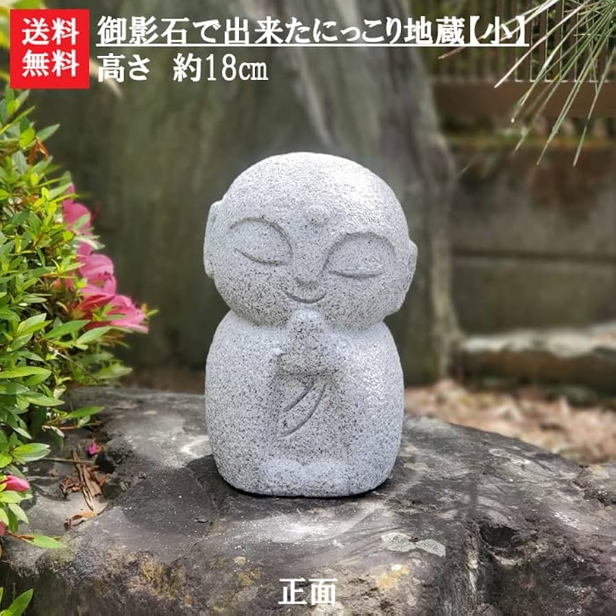 61jd+bzmZIL._AC_UF894,